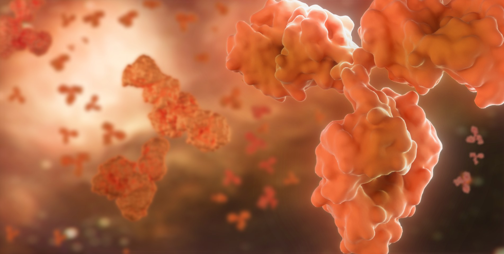 星空全站体育入口)