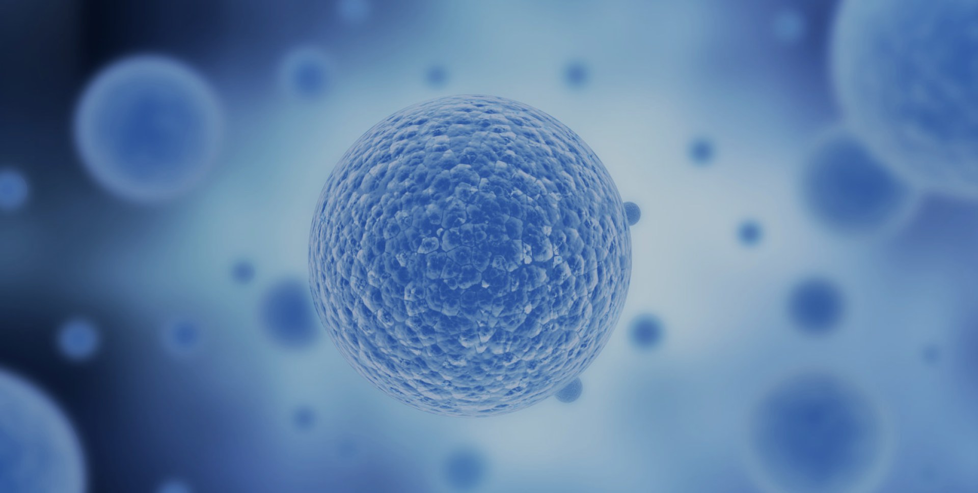 星空全站体育入口)