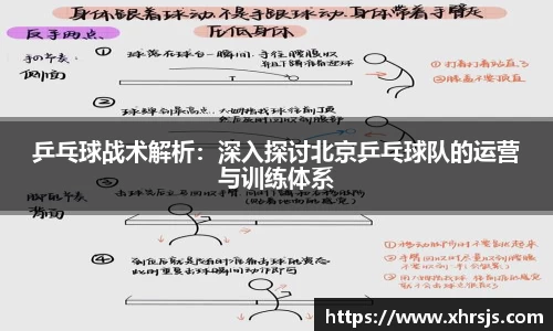 乒乓球战术解析：深入探讨北京乒乓球队的运营与训练体系